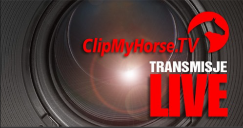 Oglądaj on-line eliminacje w Warce 